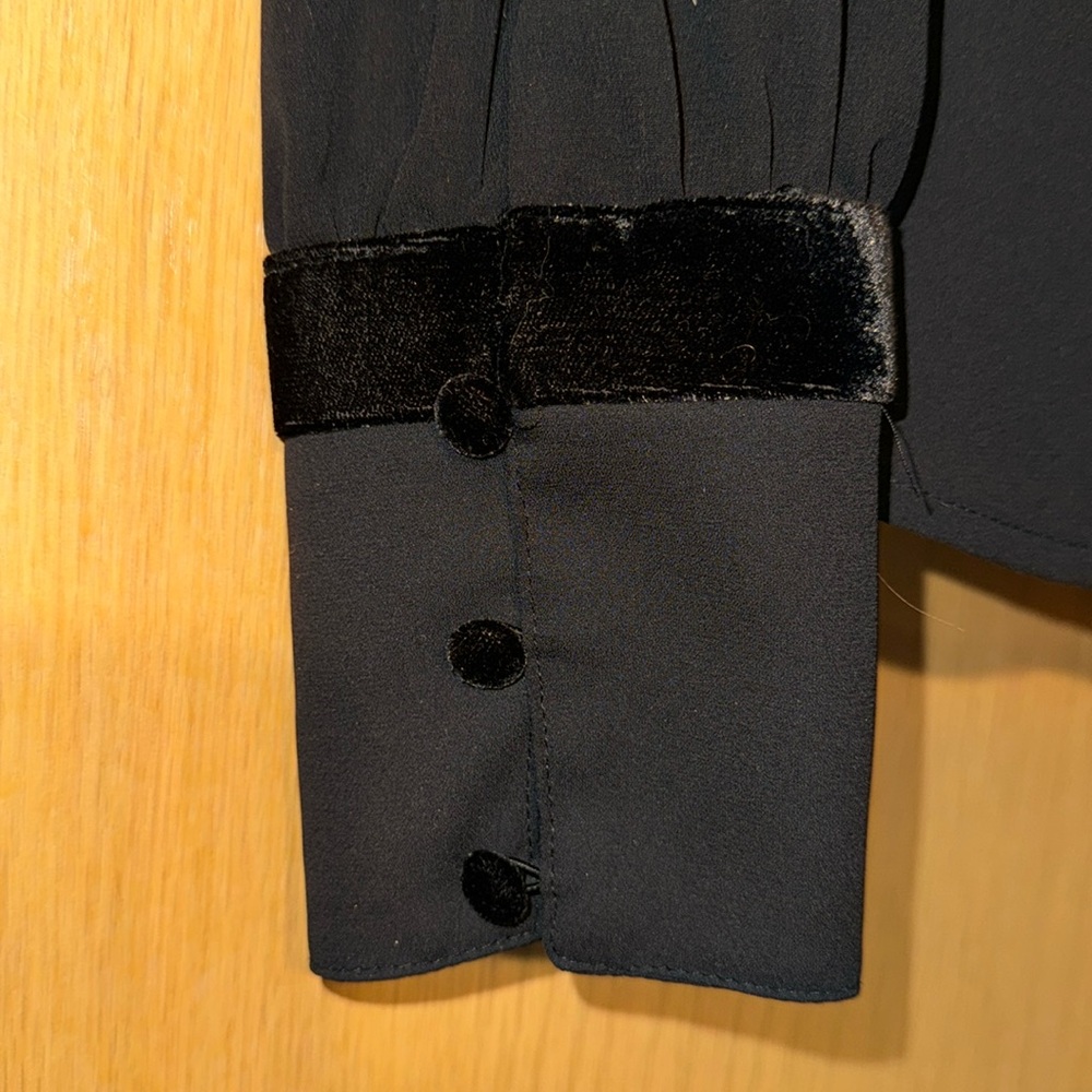 Velour Trim Sheer Long Sleeve Blouse - Picture 4 of 11